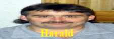 001 Harald2